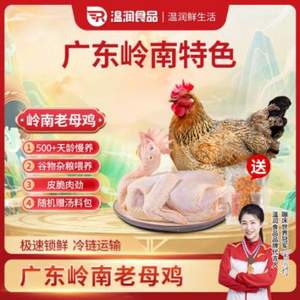 溫潤食品 500天齡以上 嶺南老母雞 1kg*4只