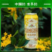 TsingTao 青島啤酒 桂香詩韻 桂花味白啤酒500mL*12罐整箱 贈(zèng)手撕牛肉干50g