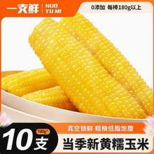 一支鲜 东北黄糯玉米棒 180g*10棒