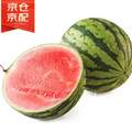 京鮮生 國(guó)產(chǎn)麒麟西瓜 1粒裝 單果7-9斤