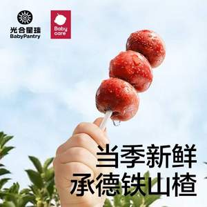 Babycare BabyPantry 光合星球 小葫芦山楂棒果肉50g*3件