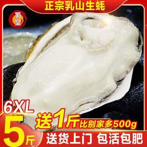 超大蚝王，蜀皇 乳山鲜活生蚝  净重5斤 6XL 送1斤