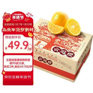 褚橙 云冠橙 云南冰糖橙 一級(jí)果10斤裝 單果約100g 2箱