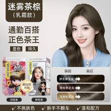 Schwarzkopf 施華蔻 斐絲麗 泡泡染發(fā)霜 迷霧茶棕 送染發(fā)工具4件套