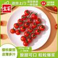 佳农 宝菜 山东串收樱桃小番茄 净重420g*2盒