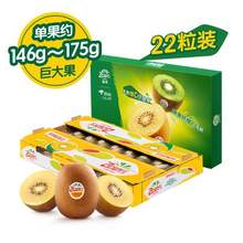 Zespri 佳沛 新西兰阳光金奇异果 Jumbo巨大果146-175g 22个礼盒装