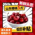 山东大樱桃 国产车厘子 净重4斤 22-26mm