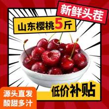 山东大樱桃 国产车厘子 净重4斤 22-26mm