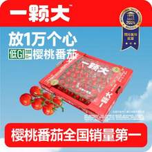 一颗大 玲珑串樱桃番茄小串礼盒装 1kg 