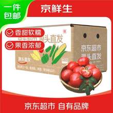 京鲜生 山东普罗旺斯番茄 单果125g+ 净重4.5斤