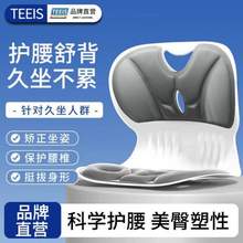 TEEIS 人体工学护腰坐垫