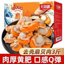 天海藏 去壳扇贝肉1.5kg