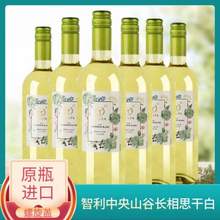 智利原瓶进口，Tenpa 天帕 长相思干白葡萄酒750mL*6瓶