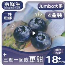<span>白菜！</span>京鲜生 云南蓝莓 Jumbo大果 18mm+ 125g*4盒装*2件