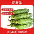 京鲜生 山东童年旱黄瓜 净重5斤 单果100g+