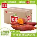 Goodfarmer 佳农 宝菜 兰考蜜薯 单果约100g+ 净重4.5斤 
