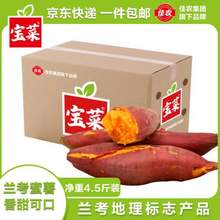 Goodfarmer 佳农 宝菜 兰考蜜薯 单果约100g+ 净重4.5斤 