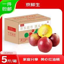 京鲜生 山东黄肉油桃 单果60g+ 净重5斤