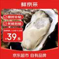 鲜京采 鲜活生蚝  净重5斤 5XL 9-12只装