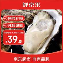 鲜京采 鲜活生蚝  净重5斤 5XL 9-12只装