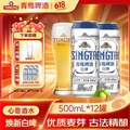 青岛啤酒 10度全麦白啤 500ml*12罐*2箱 送白啤330mL*6罐