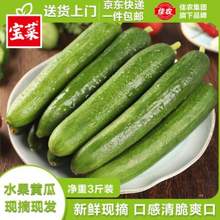 Goodfarmer 佳农 宝菜 山东荷兰水果黄瓜 净重3斤 单果80g+ 