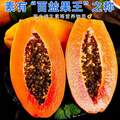 京觅 云南红心木瓜 5斤 单果500g+