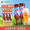 <span>白菜！</span>短保新鲜，泰山原浆啤酒 28天精酿啤酒9度 450mL*6瓶 