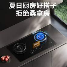 FOTILE 方太 JZT-01-TE21 5.2kW 智能双边独立定时 猛火燃气灶