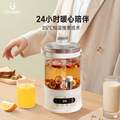 Gionee 金立 RC-Z830D28A 多功能养生壶3L