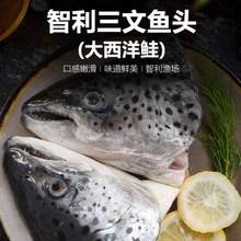 <span>白菜！</span>美加佳 智利三文鱼头（大西洋鲑）1.5kg（三条装）