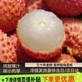 <span>白菜！</span>淘宝买菜 广东高州老树桂味荔枝 4.5斤礼盒装 单果16g+