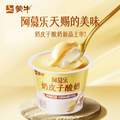 蒙牛 阿慕乐 奶皮子酸奶 135g*10件