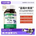 美國進(jìn)口，Nature's Truth 自然之珍 藍(lán)莓葉黃素膠囊 20mg*65粒*3瓶