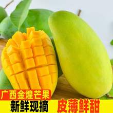 淘寶買菜 廣西金煌芒果 中果 單果200g+ 4.5斤