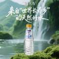 潇湘  麻洋长寿 弱碱性活力水 350ML*12瓶