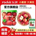 Rockit 樂淇 新西蘭進口蘋果 抱抱桶款 8-10顆 553g/桶（贈2顆）