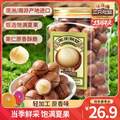 三只松鼠 夏威夷果500g罐裝