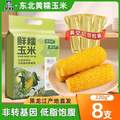 鄒有才 非轉(zhuǎn)基因真空裝東北黃糯玉米棒 1.76kg 220g*8支
