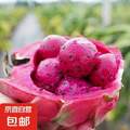 京喜 海南金都一号红心火龙果  单果200g-300g 4斤