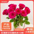京东鲜花 玫瑰花鲜切花 20枝 