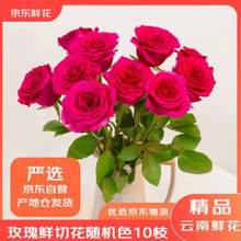 京东鲜花 玫瑰花鲜切花 20枝 