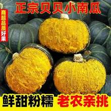 <span>白菜！</span>淘寶買(mǎi)菜 山東貝貝南瓜 單果300+ 凈重4.5斤