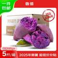魯禧 廣西新鮮紫薯 中果 凈重4.5斤（單果150-400g）