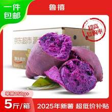 魯禧 廣西新鮮紫薯 中果 凈重4.5斤（單果150-400g）