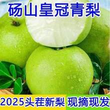 淘宝买菜农场直发 安徽砀山皇冠青梨 大果230g起 净重4.5斤