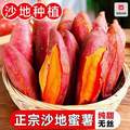淘宝买菜 黄心龙九沙地蜜薯 单果100g+ 净重4.5斤