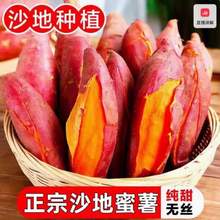 淘宝买菜 黄心龙九沙地蜜薯 单果100g+ 净重4.5斤