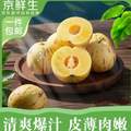京鮮生 云南石林人參果 凈重3斤 單果50g+