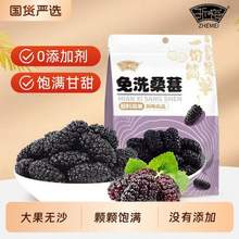 浙梅 免洗桑葚干502g